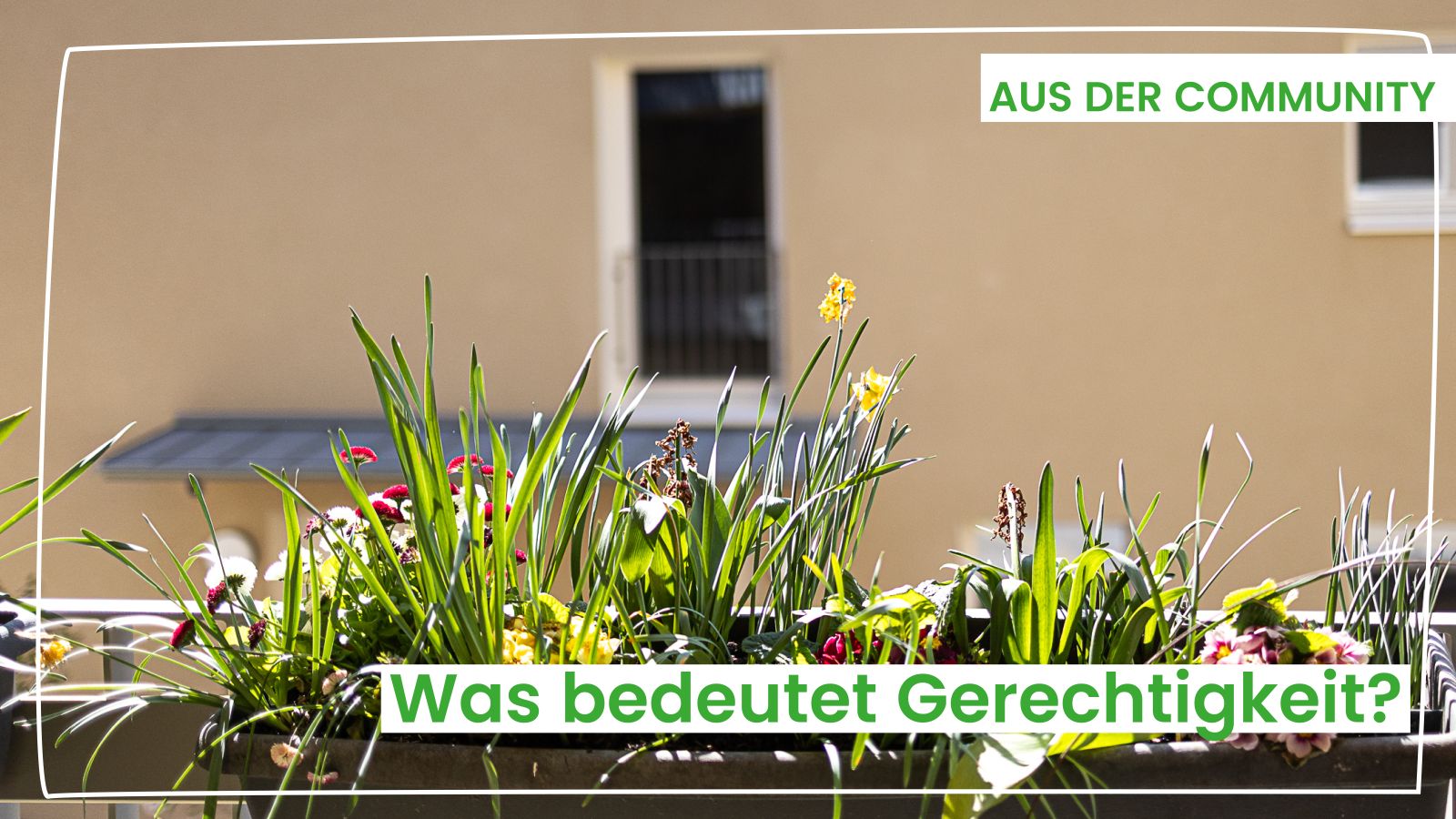 Soziale Gerechtigkeit