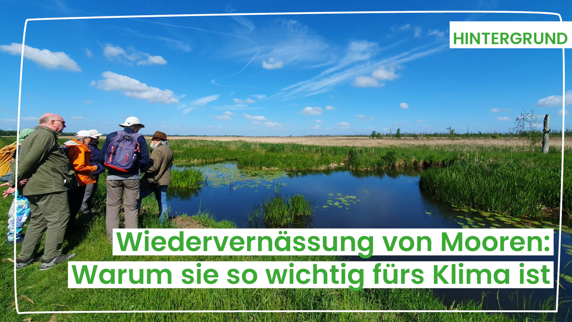 2026-06_Hintergrund_Wiedervernässung von Mooren Wiedervernässtes Moor in Mecklenburg-Vorpommern als Beispiel für naturbasierten Klimaschutz