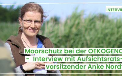 „Moorschutz ist Klimaschutz“ – Interview mit Anke Nordt