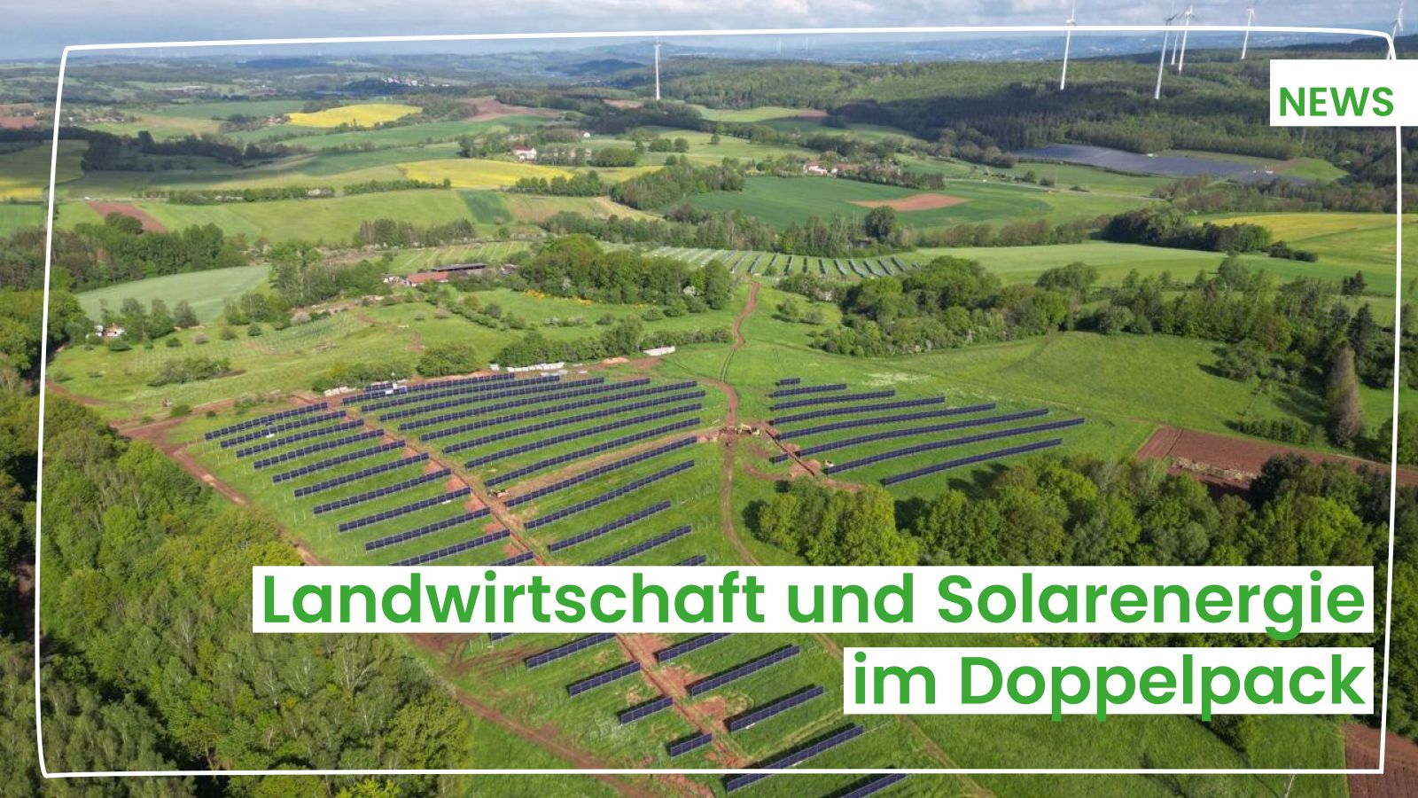 20260519 News – AgriPV_web AgriPV-Anlage Pfaffenthaler Hof