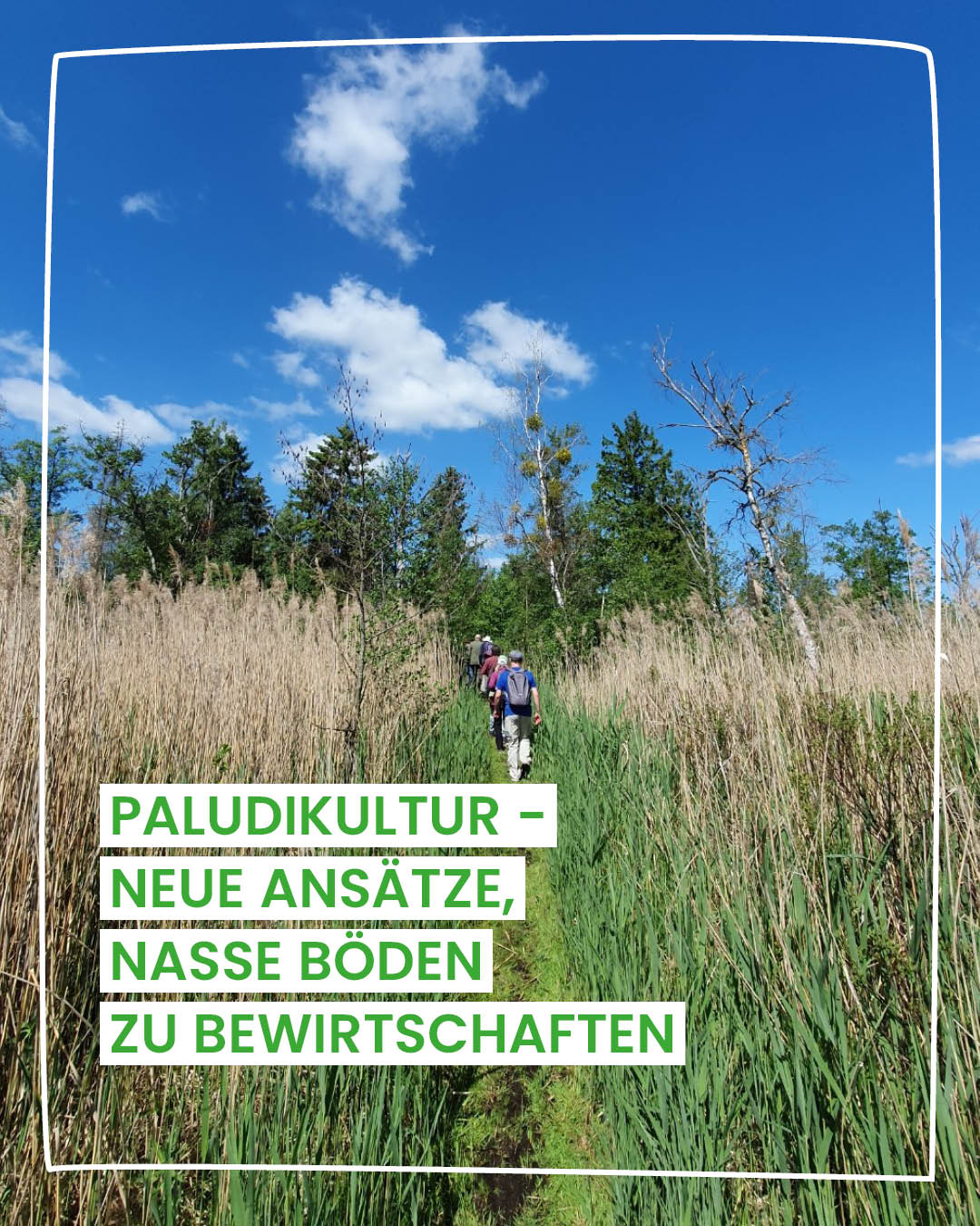 Teilnehmende der OEKOGENO-Moorexkursion bei einer Begehung im Moor