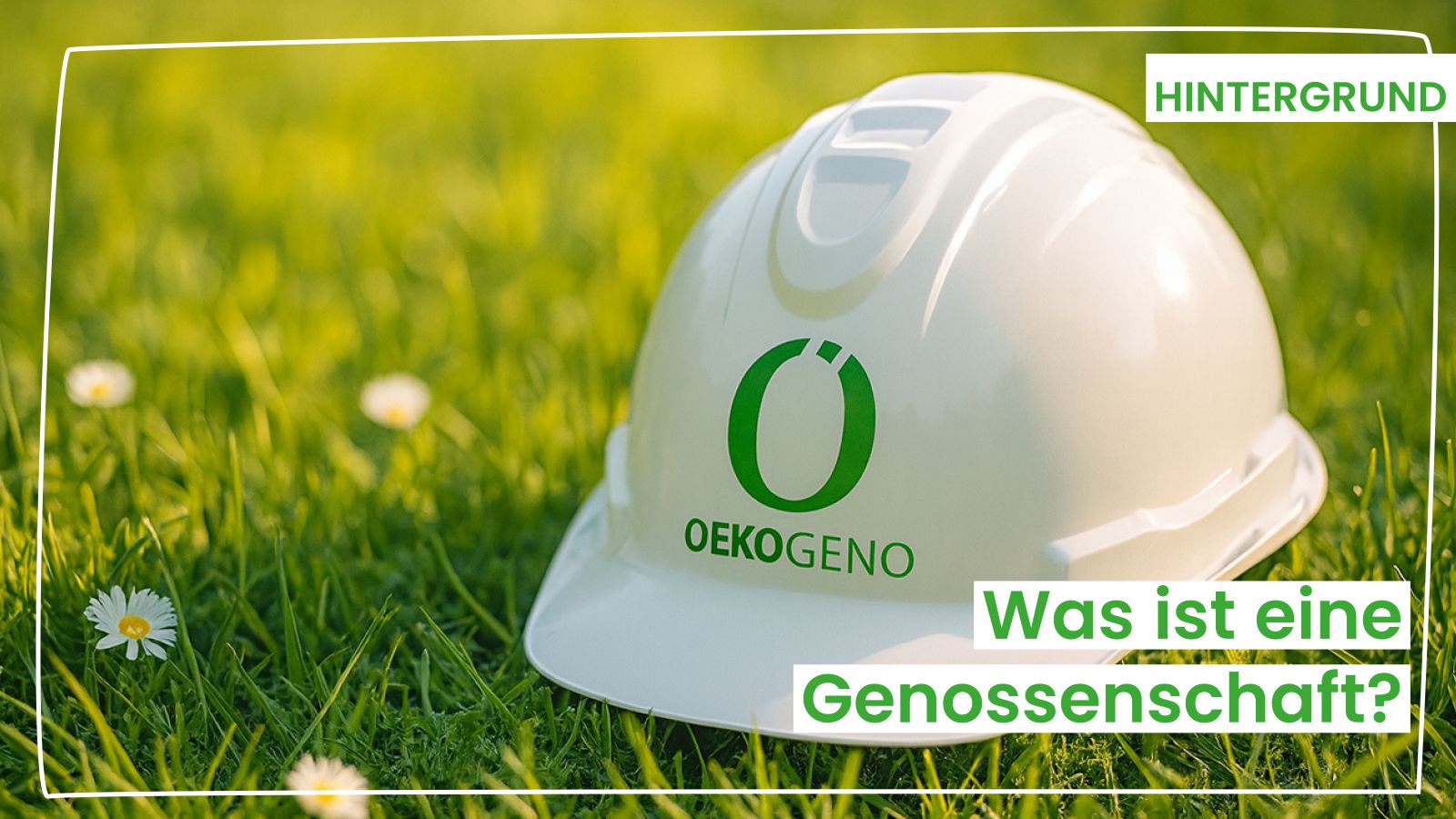 Hintergrund_Genossenschaft