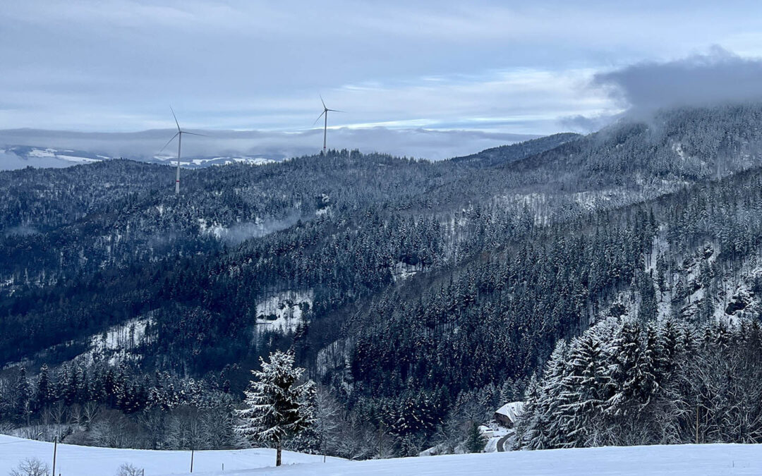 Windkraft Taubenkopf