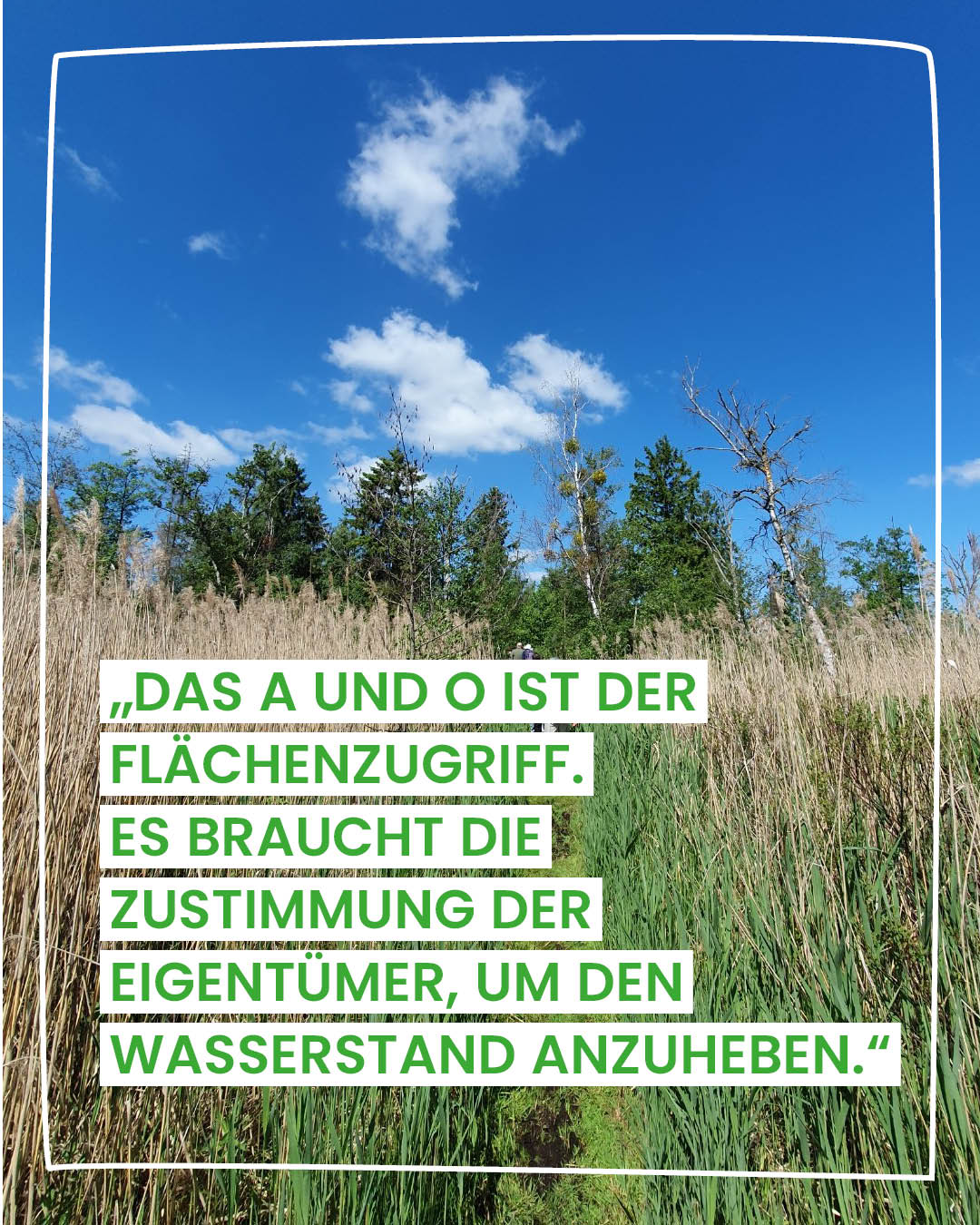 Moorlandschaft als Symbol für Moorschutz und Wiedervernässung, Zitat von Anke Nordt zur Bedeutung von Flächenzugriff und Eigentümerzustimmung.