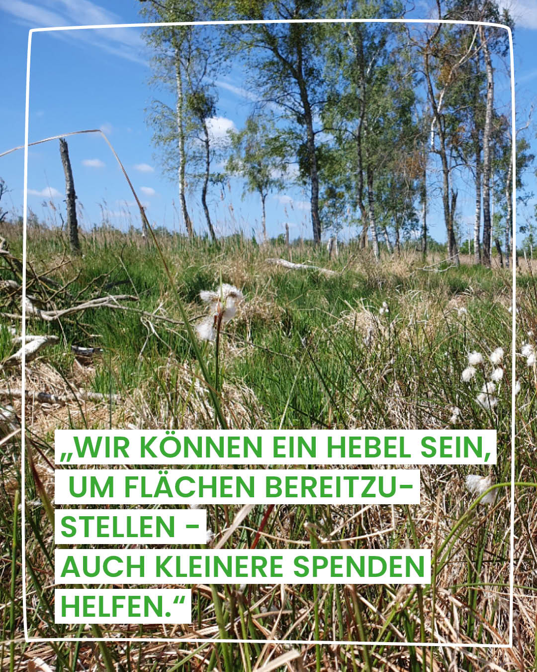 Moorfläche im Rahmen des Moorschutzes, Zitat von Anke Nordt zur Hebelwirkung der OEKOGENO-Stiftung und zur Unterstützung durch Spenden.