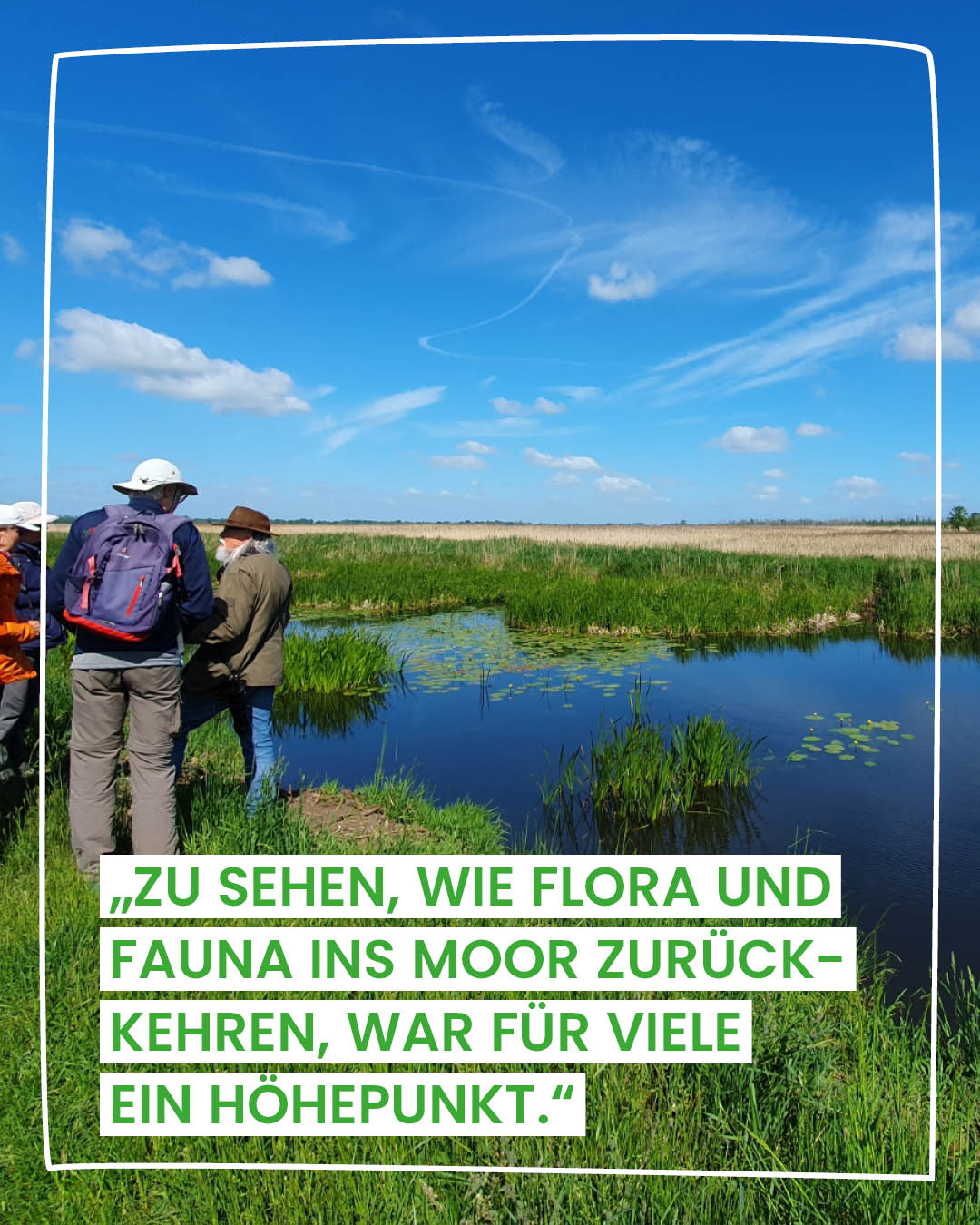 Moorlandschaft als Beispiel für Moorschutz und erfolgreiche Wiedervernässung.