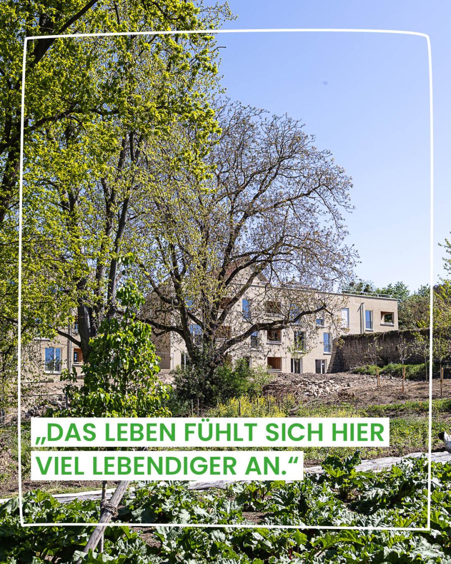 Gemeinschaftliches Leben mit Kindern - Zitat